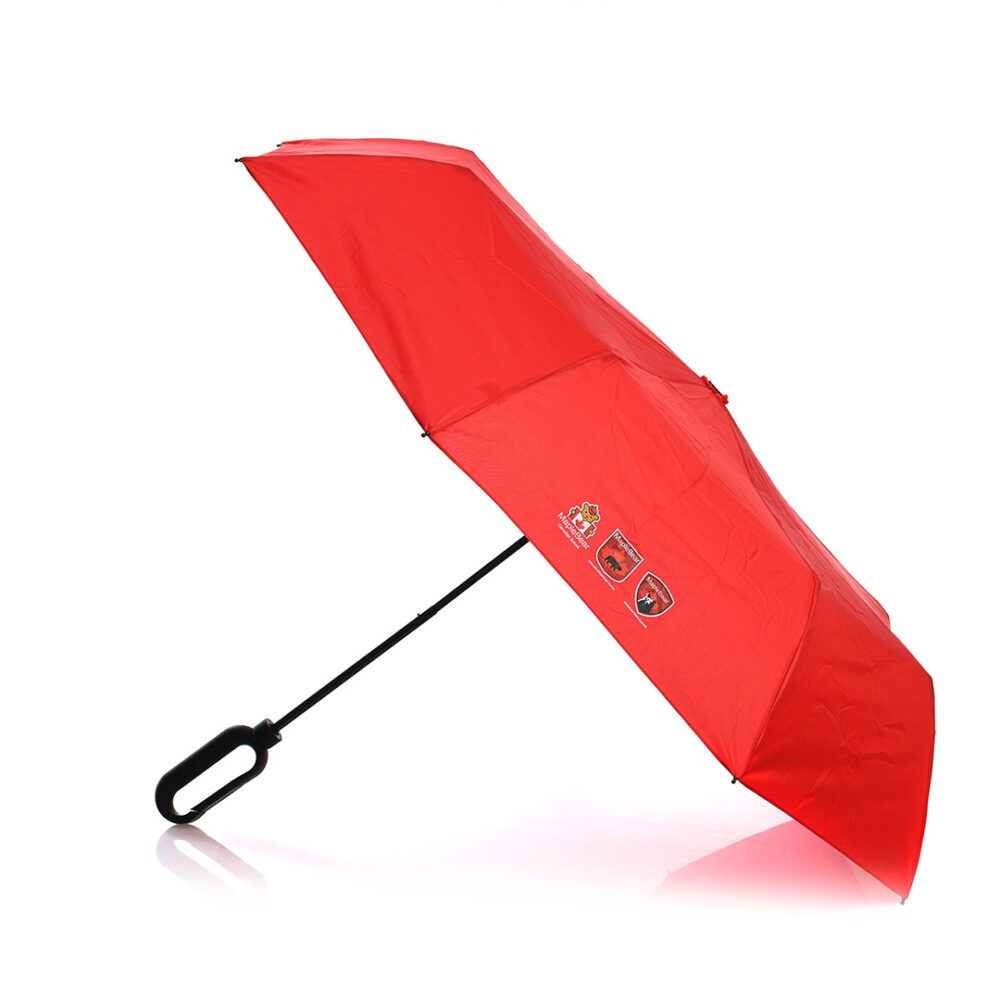 Pocket Umbrella with Carabiner